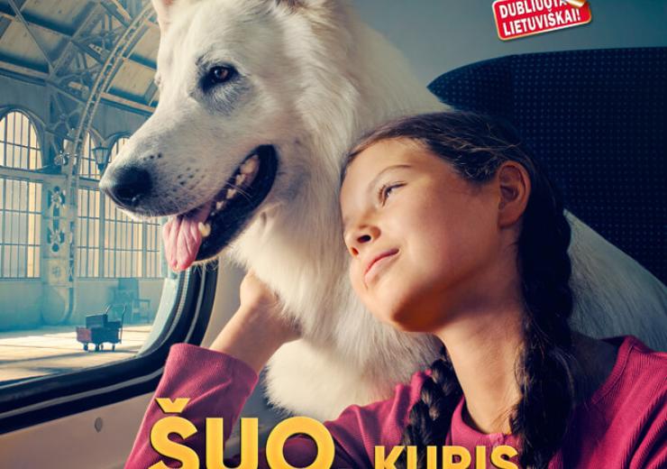 Kino filmas ŠUO, KURIS KELIAVO TRAUKINIU 